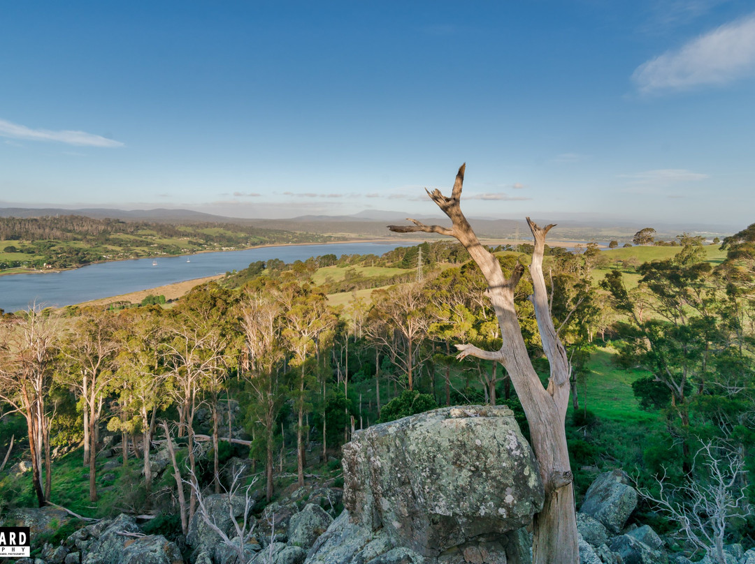 Brady's Lookout-Rosevears必去景点