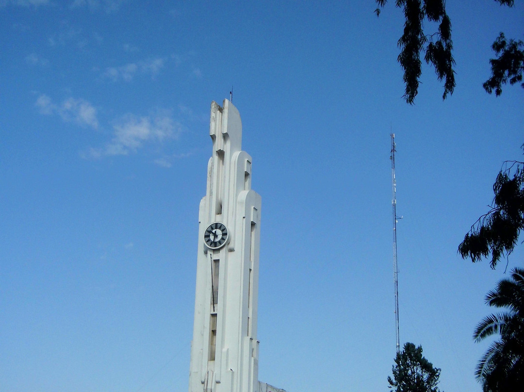 Palacio Municipal de Carhue景点图片