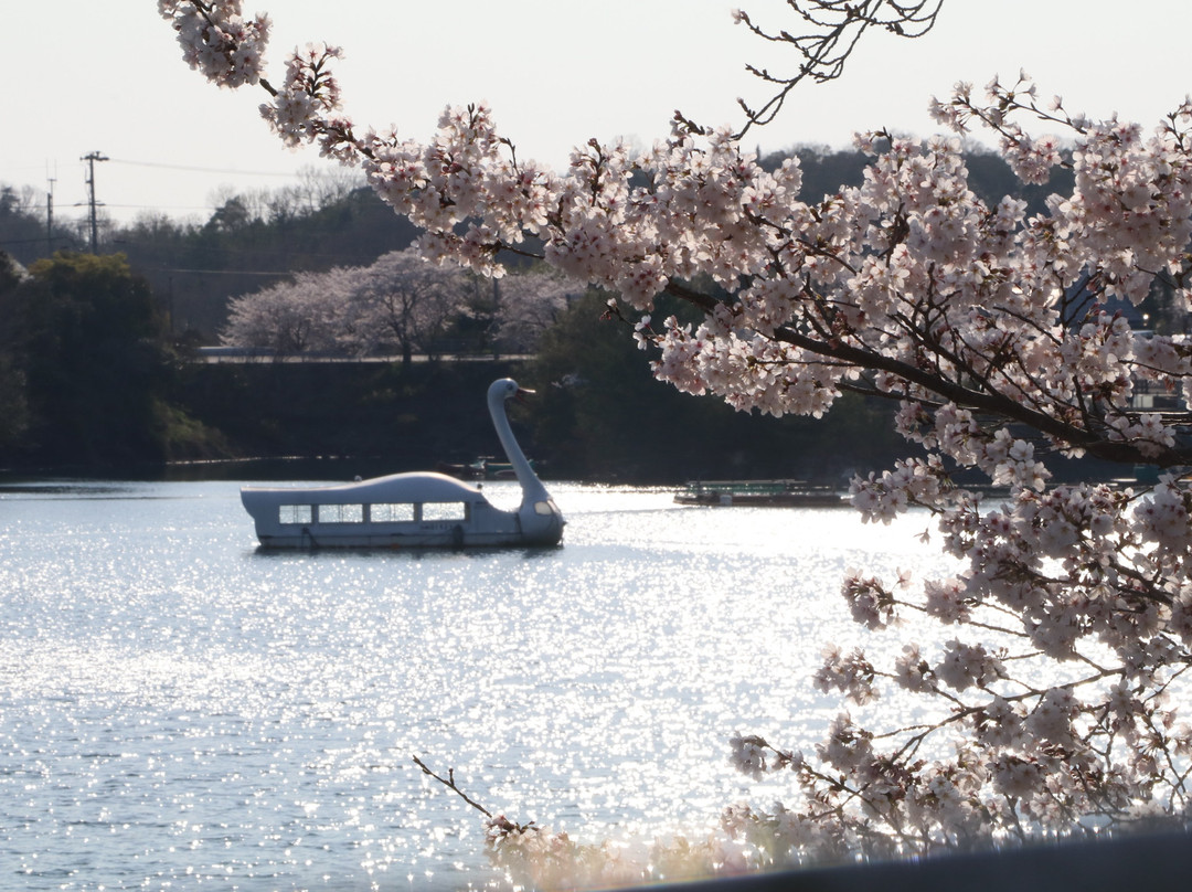 Tojo Lake-加东市必去景点