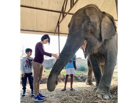 Jagatpur旅游攻略图片