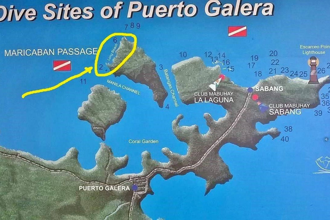 Long Beach-葡多咖蕾拉必去景点