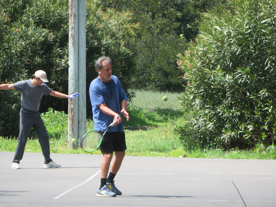 Cuesta Park-山景城必去景点