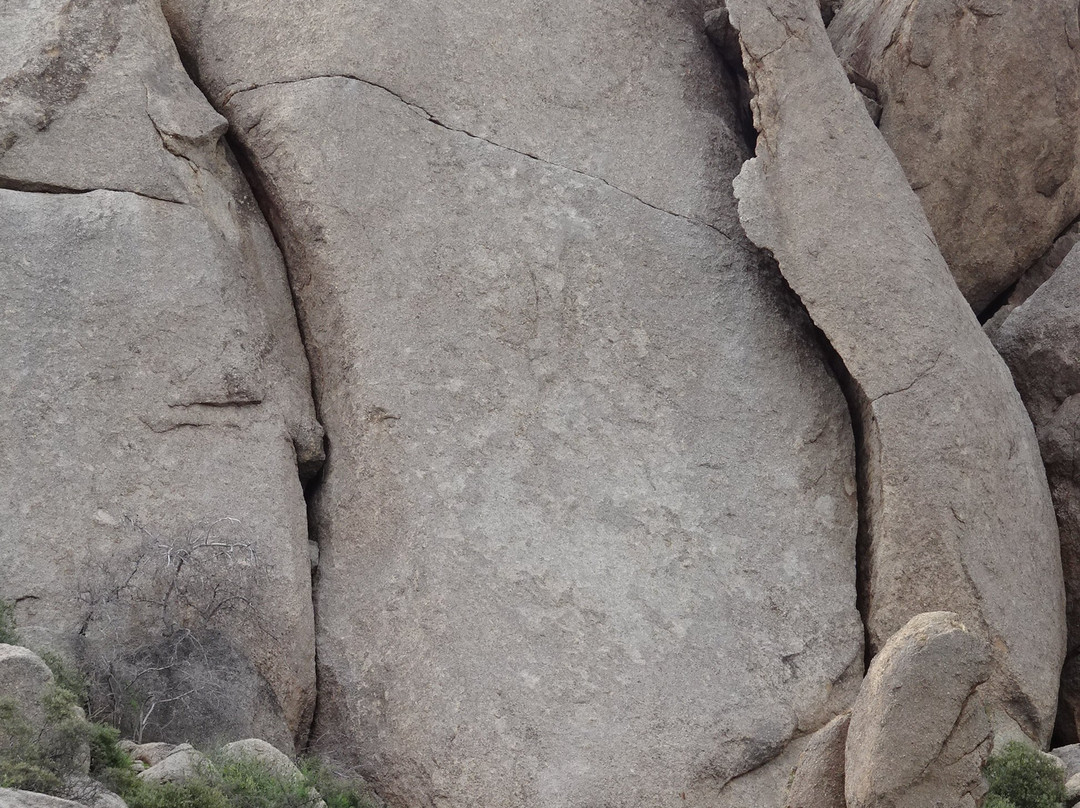 Marcus Landslide Trail-斯科茨代尔必去景点