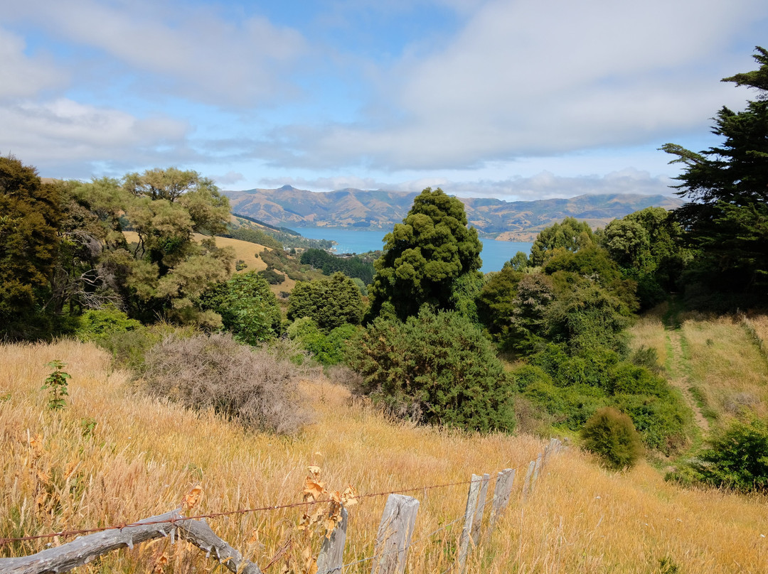 Hinewai Reserve-阿卡罗阿必去景点