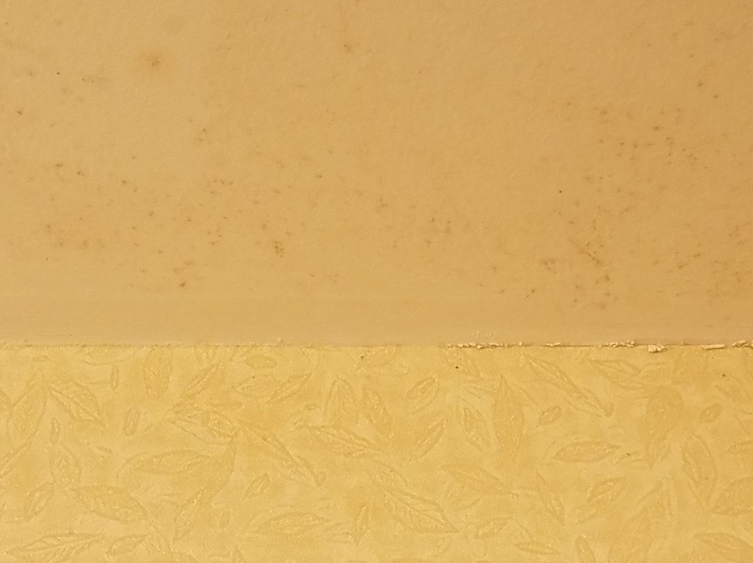 Wingate by Wyndham Waynesboro/Route 340主图