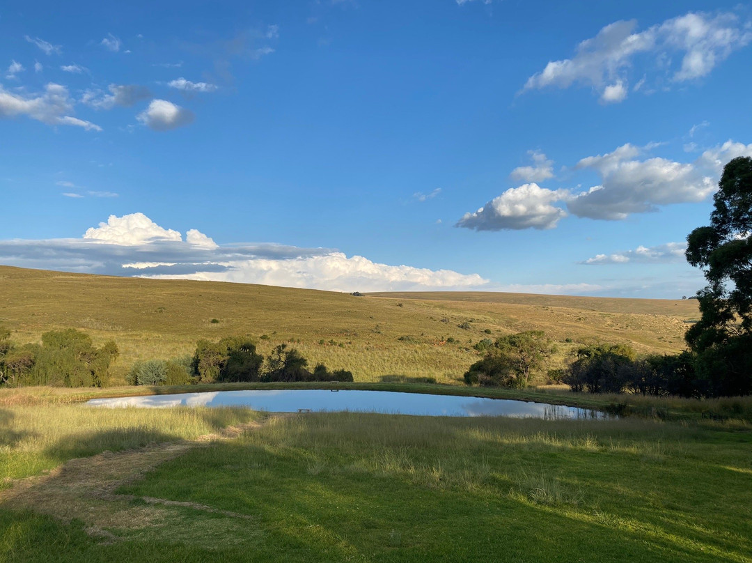 Cpirit Country Haven主图