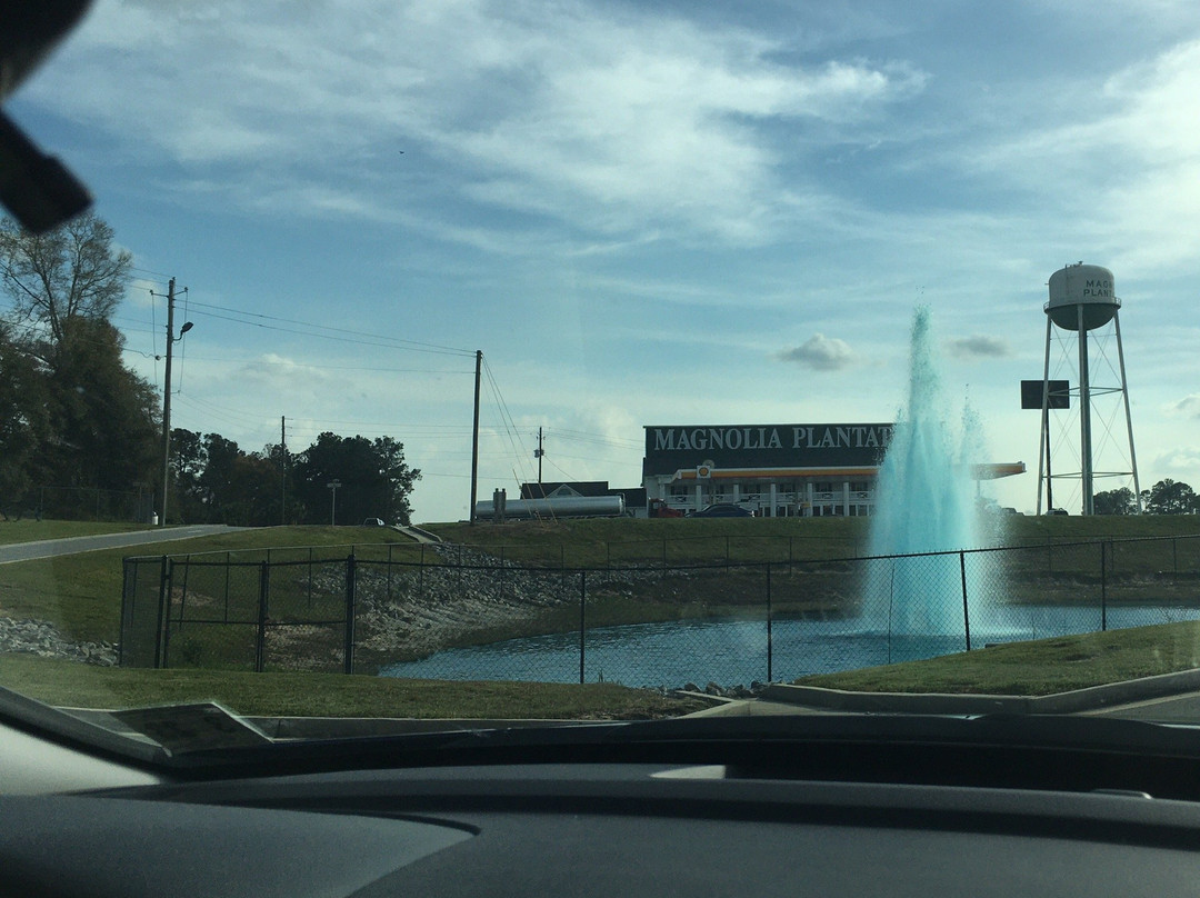 Magnolia Plantation-蒂夫顿必去景点