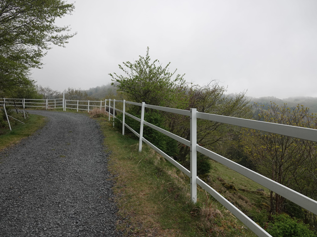 Ido Wetland-鹿沼市必去景点