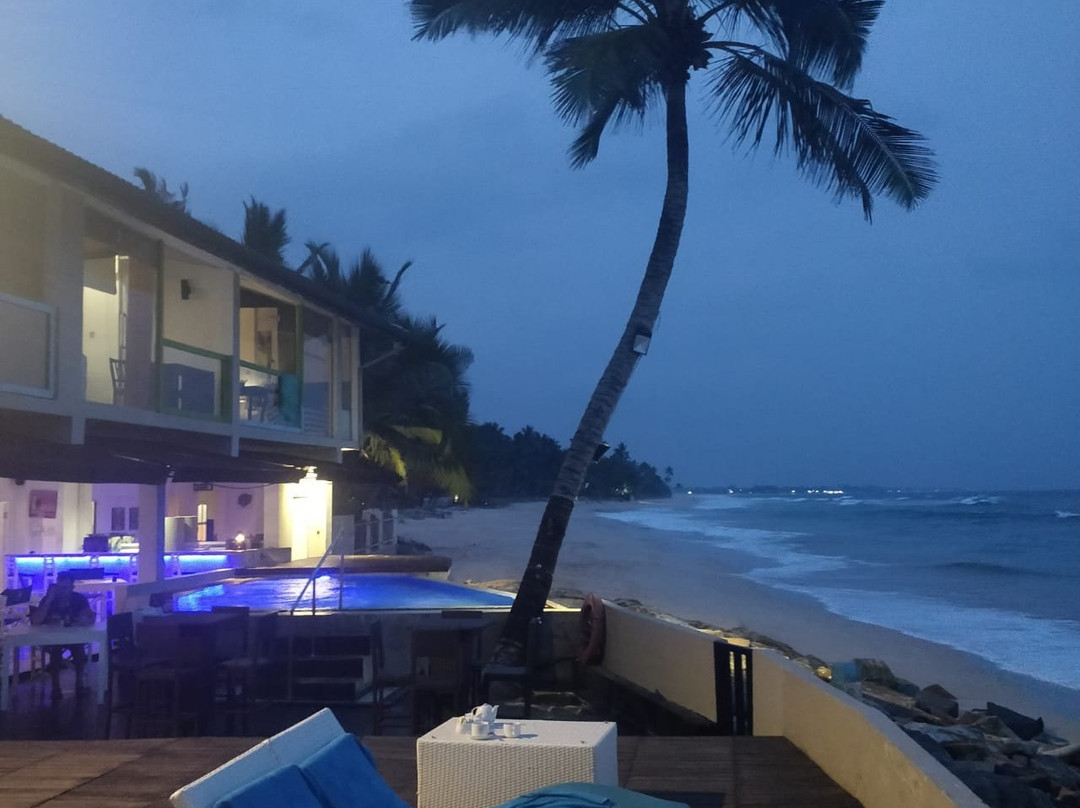 哈密瓜水族主图