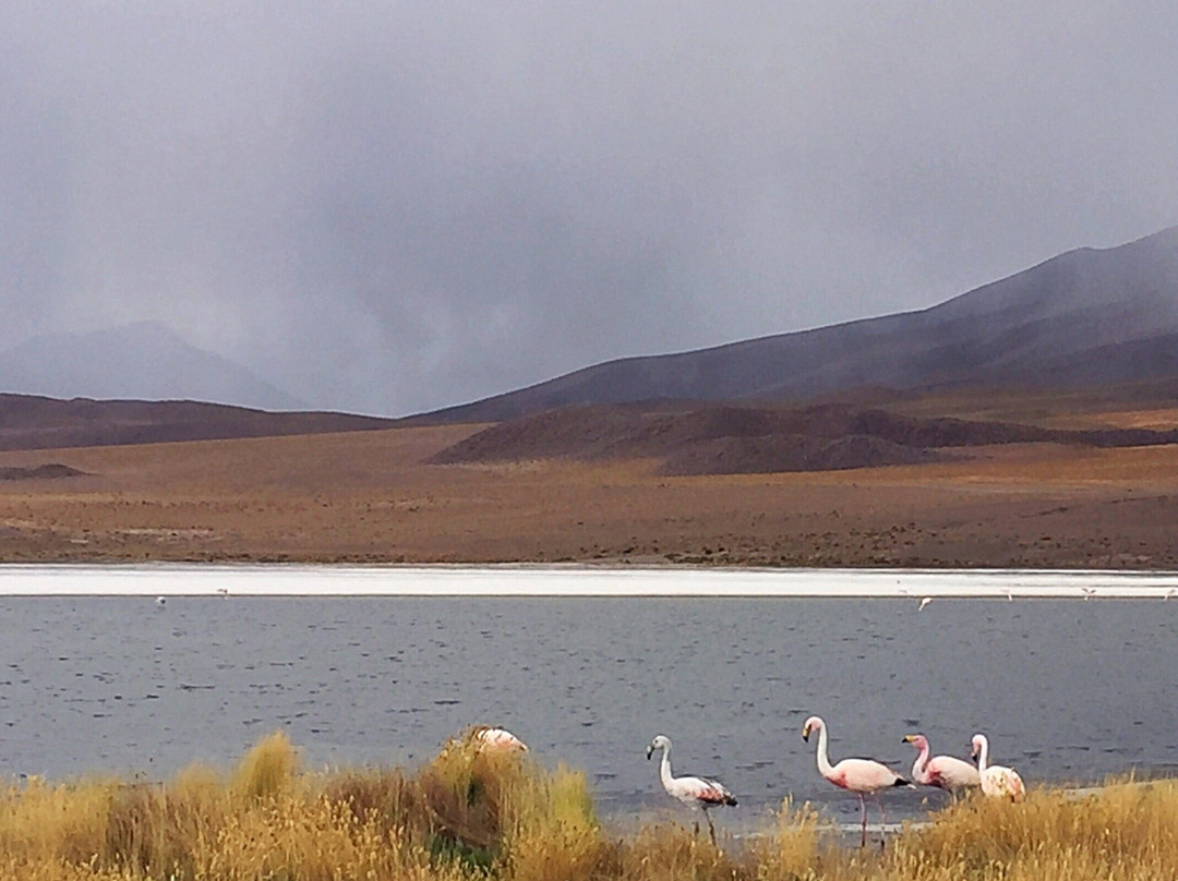 Laguna Canapa-乌尤尼必去景点