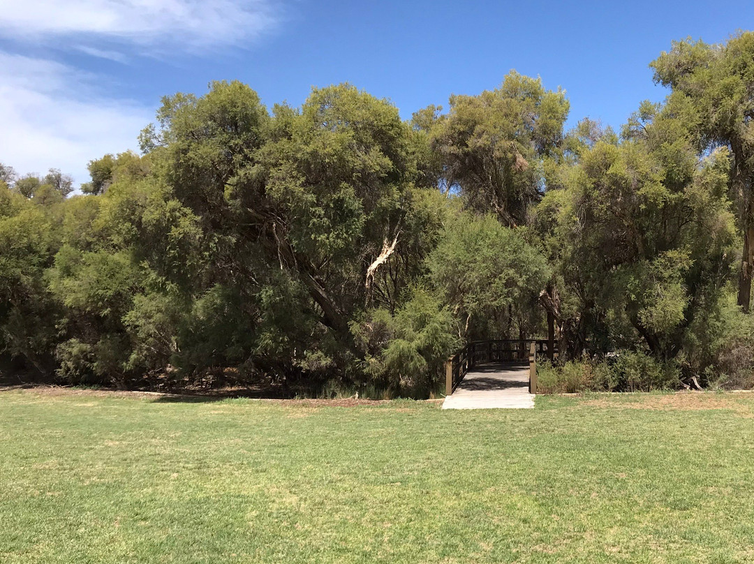 Sir James Mitchell Park景点图片