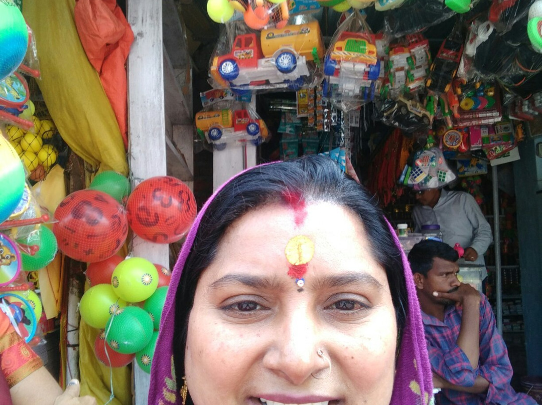 Basar Saraswati Temple景点图片