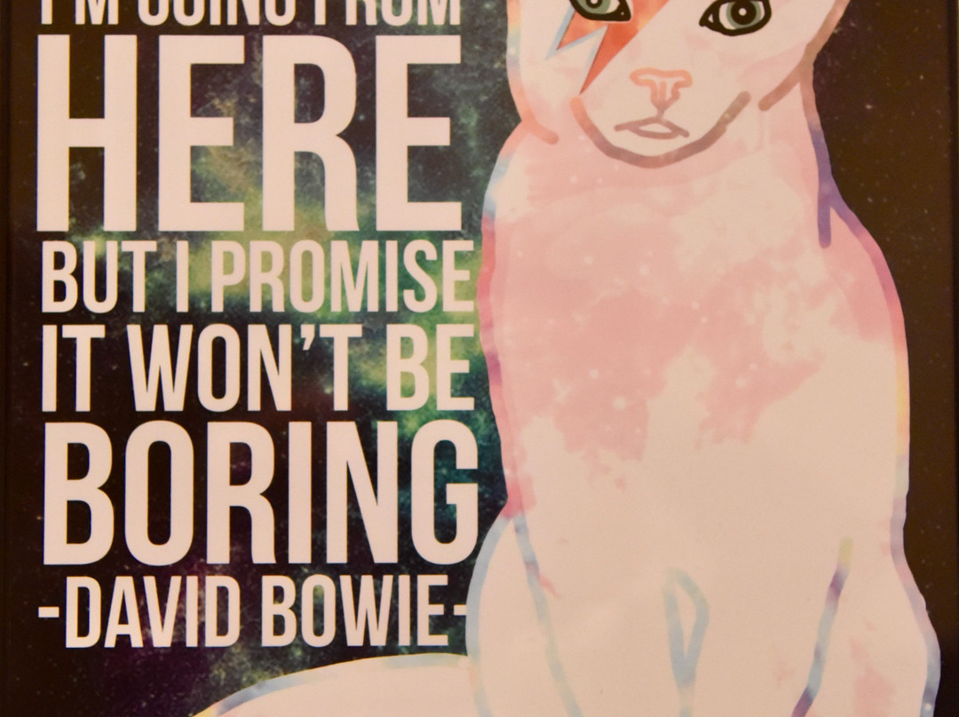 Modernism Museum-Mount Dora必去景点