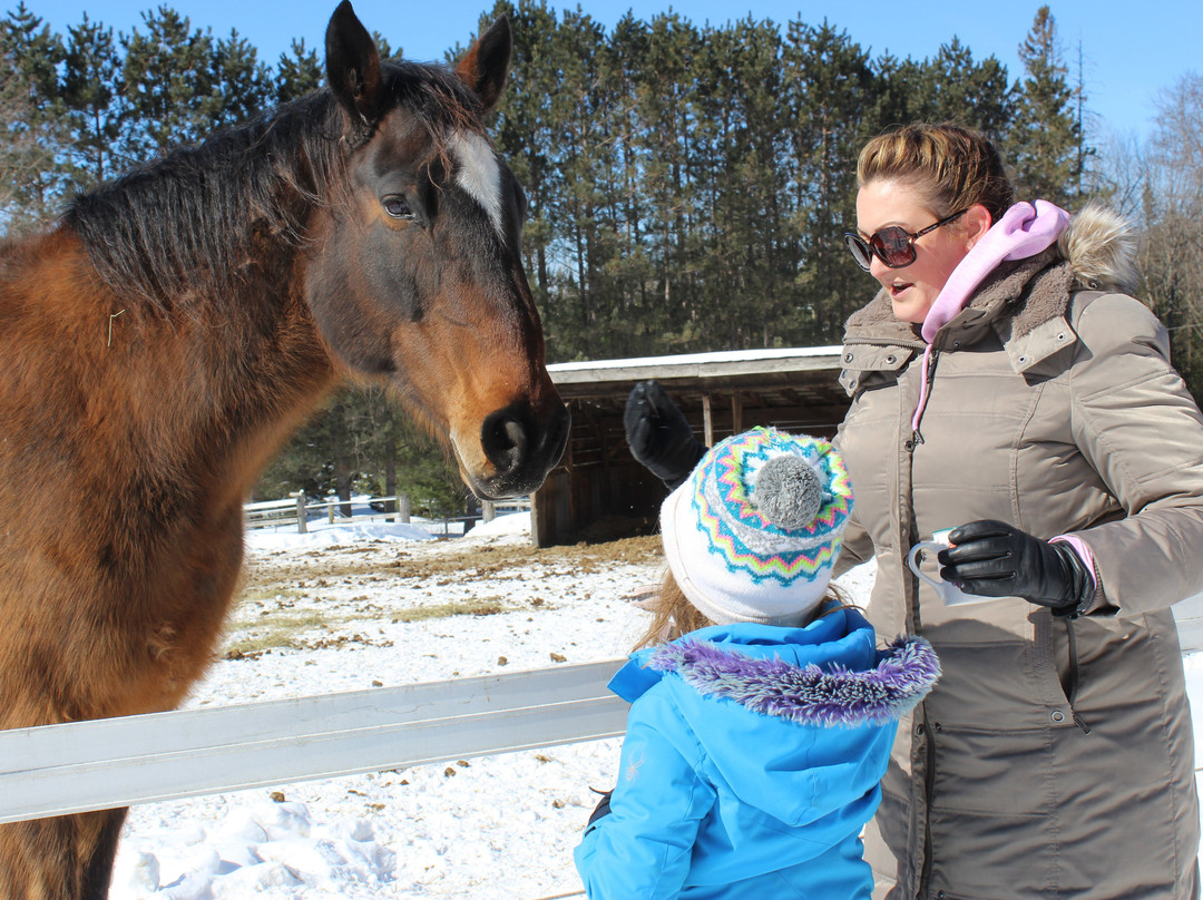 Back of Beyond Equine Centre-亨茨维尔必去景点