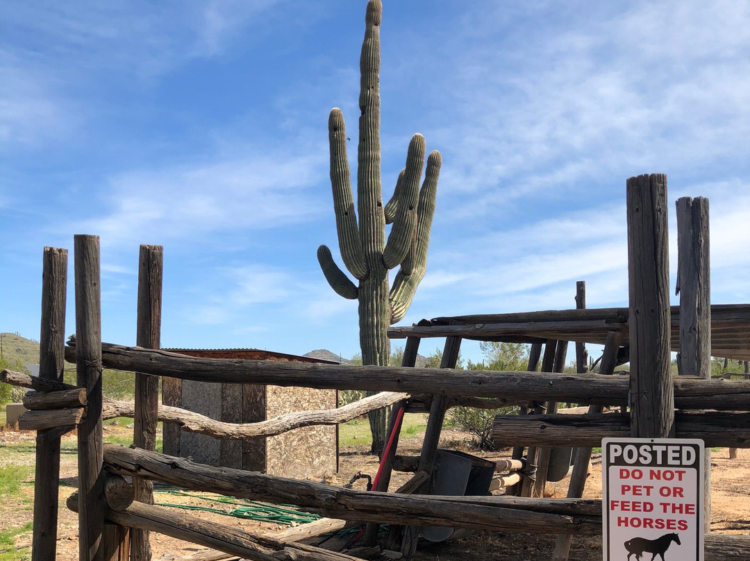 Pioneer Arizona Living History Museum-凤凰城必去景点