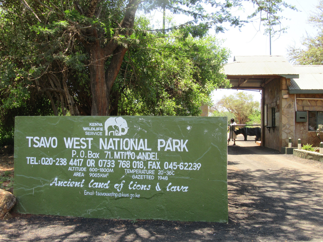 Tsavo Safaris Tours-查佛必去景点