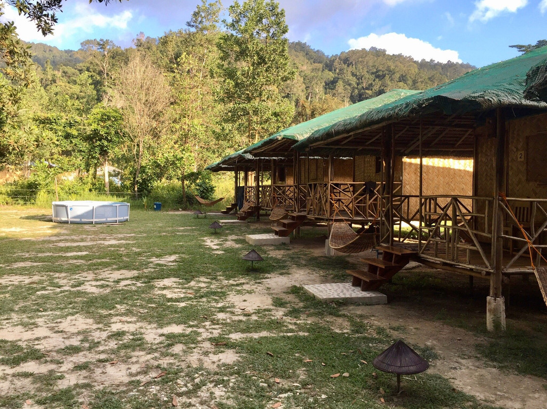 Back Trippers Inn主图