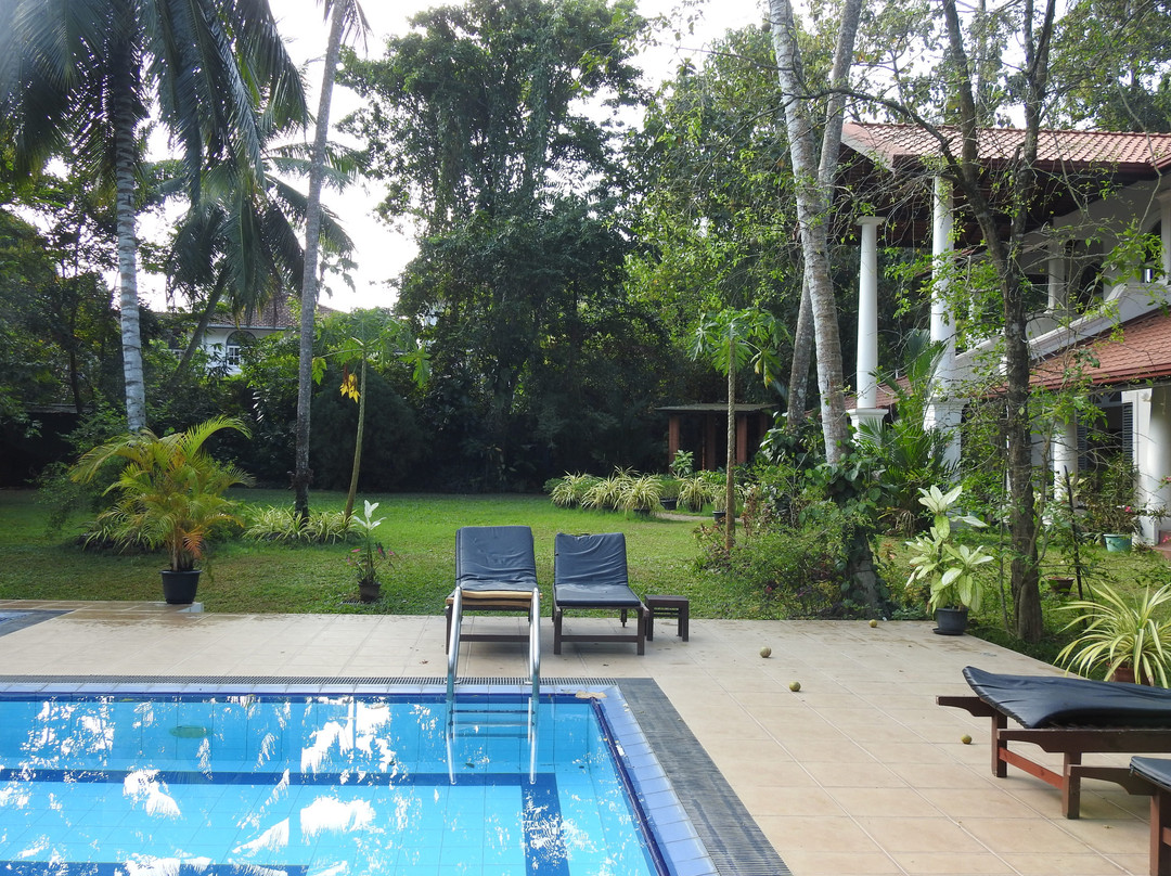 The Villa Green Inn主图