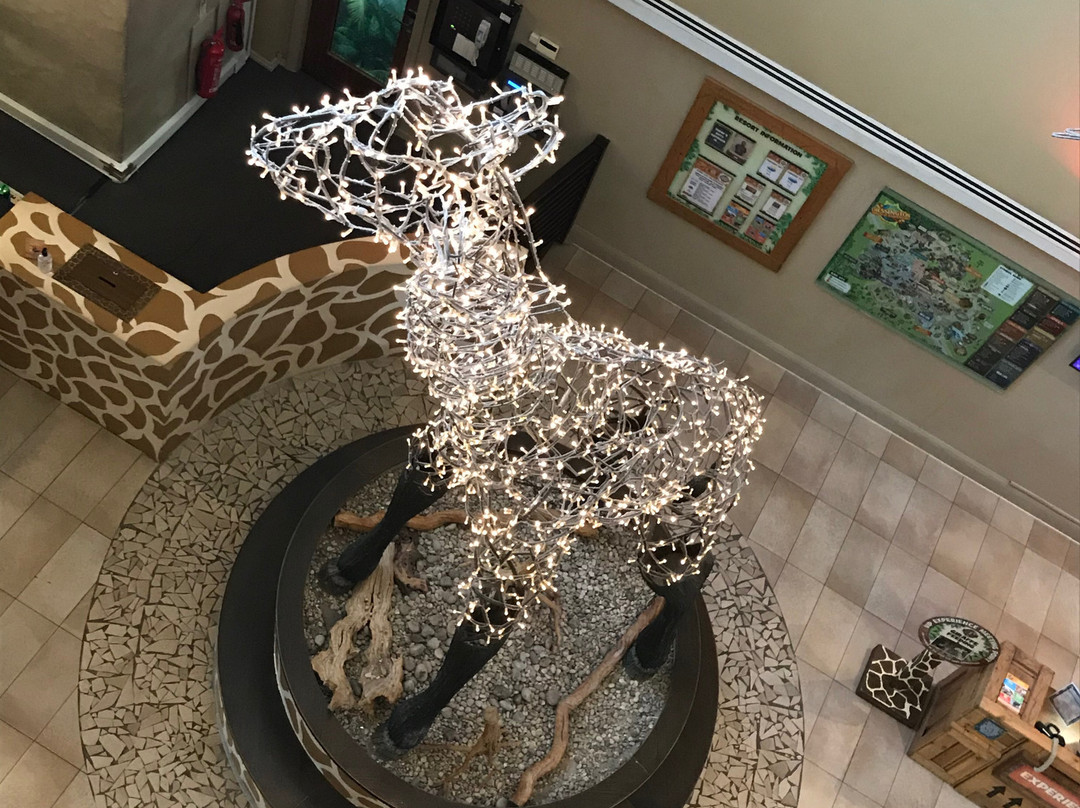 Chessington Safari Hotel主图