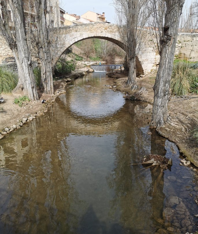 Puente Medieval景点图片