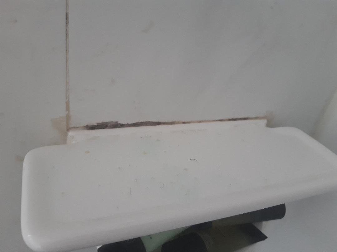 棕榈庭院汽车酒店主图