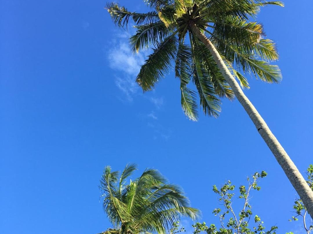 Sematan Palm Beach Resort主图