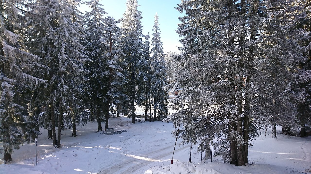 Pine Hills Pamporovo-官方