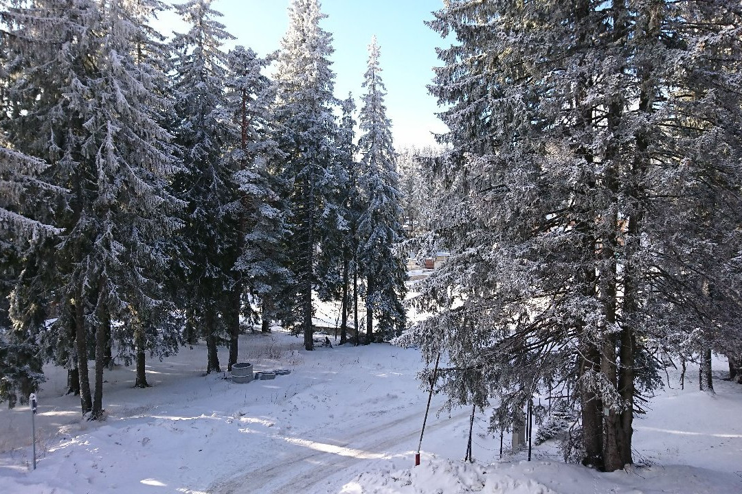 Pine Hills Pamporovo主图