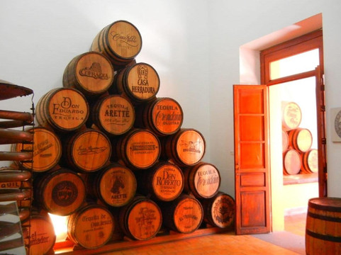 Tours Tequilarte-瓜达拉哈拉必去景点