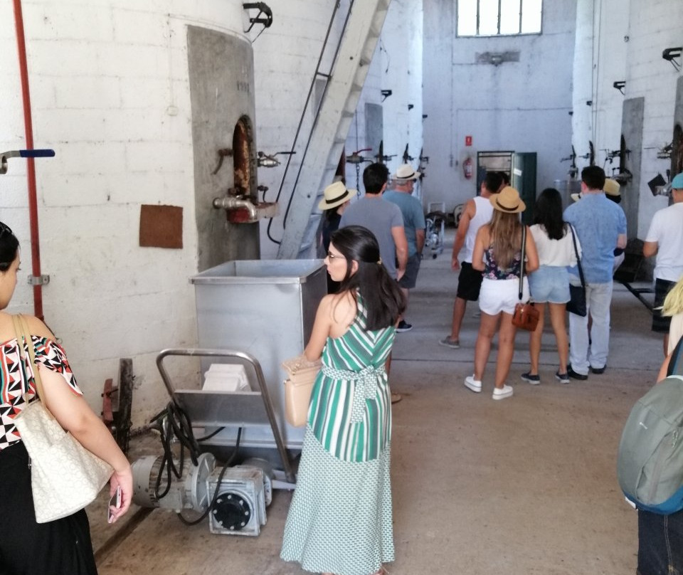 Bodega Los Cerros De San Juan-科洛尼亚·德尔萨克拉门托城必去景点