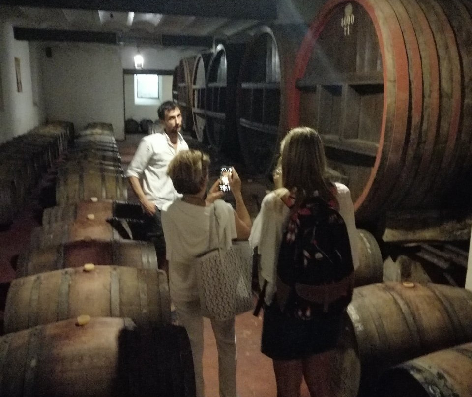 Bodega Los Cerros De San Juan-科洛尼亚·德尔萨克拉门托城必去景点