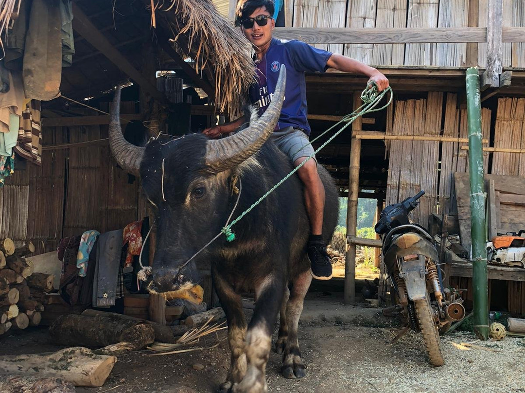 Mr. Bike Hsipaw Trekking-西保必去景点