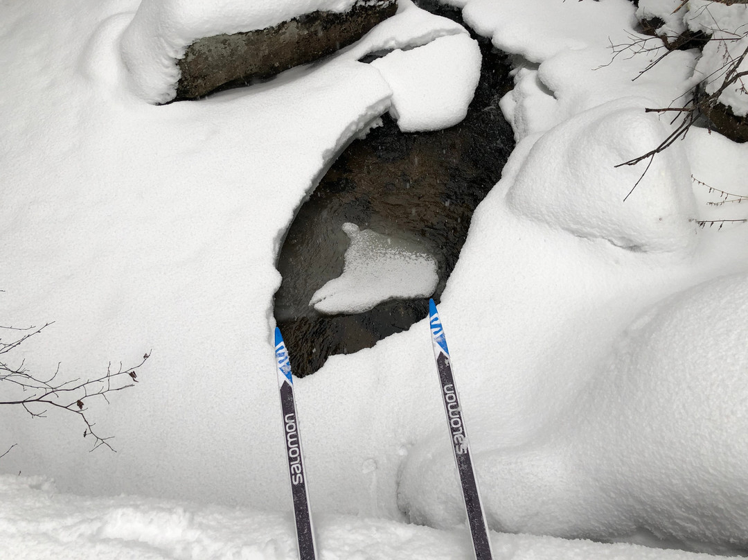 Bretton Woods Nordic Ski Area-布雷顿森林必去景点