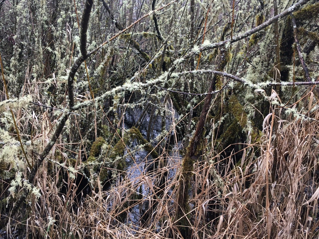 Boulevard Lane Park-肯特必去景点