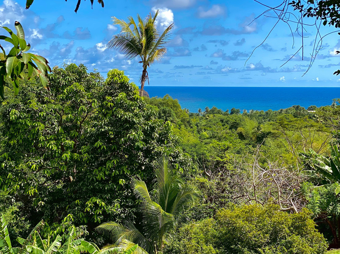 Royal Mount Carmel Falls-格林纳达必去景点