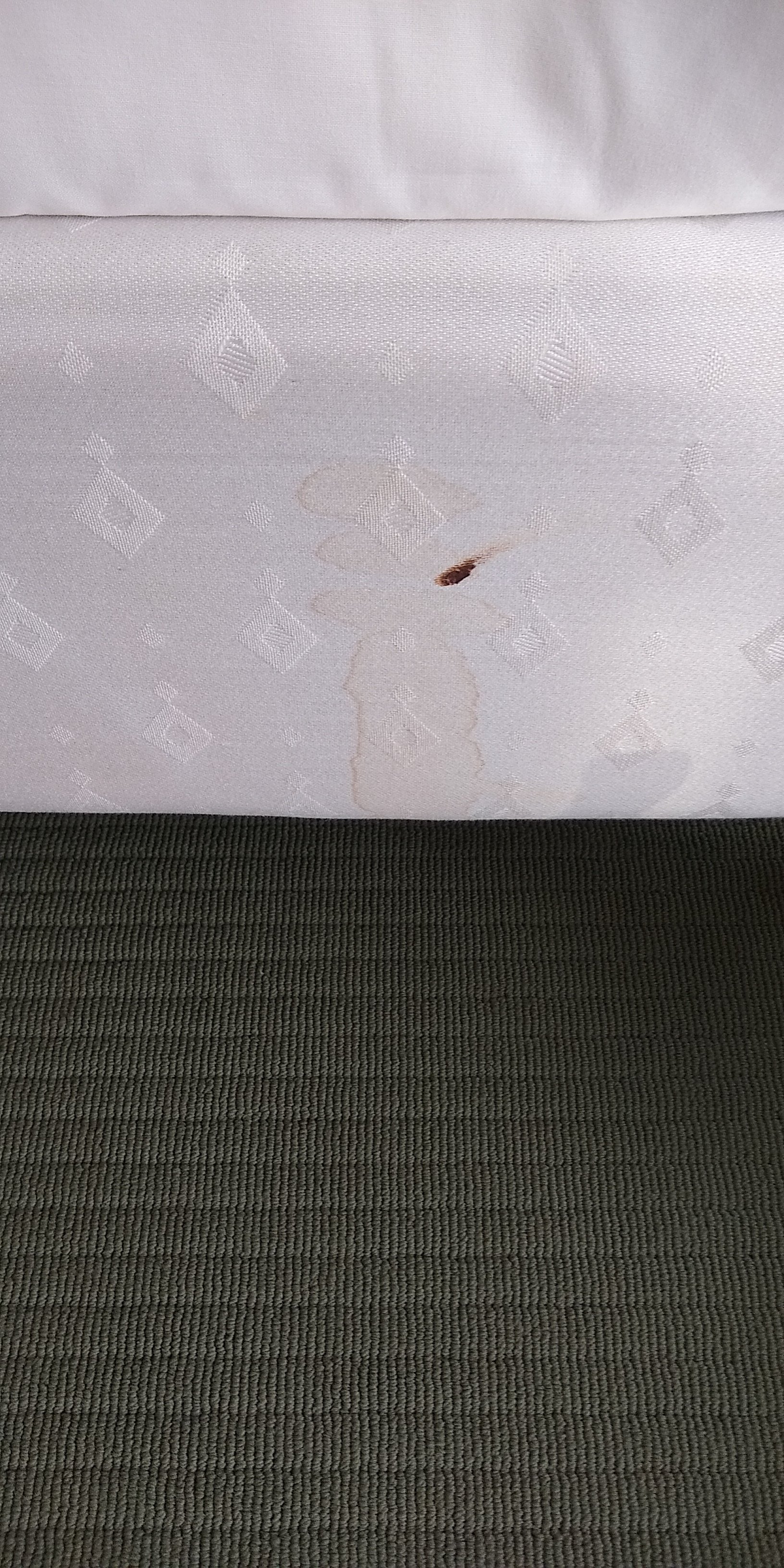 多瑙艾辛根温德姆花园酒店-portrait