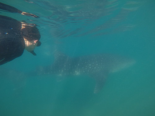 MeXplore-拉巴斯必去景点