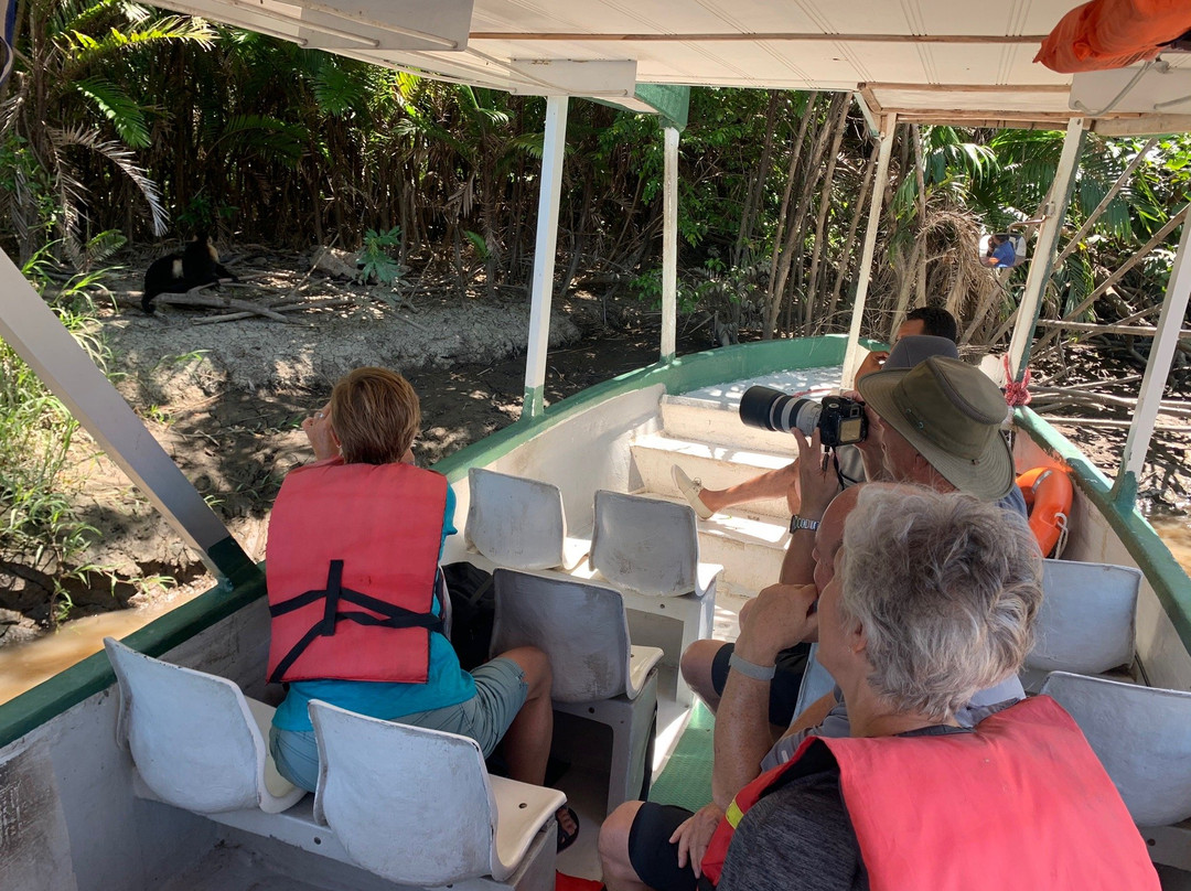 Jabiru Tours Palo Verde by Boat景点图片