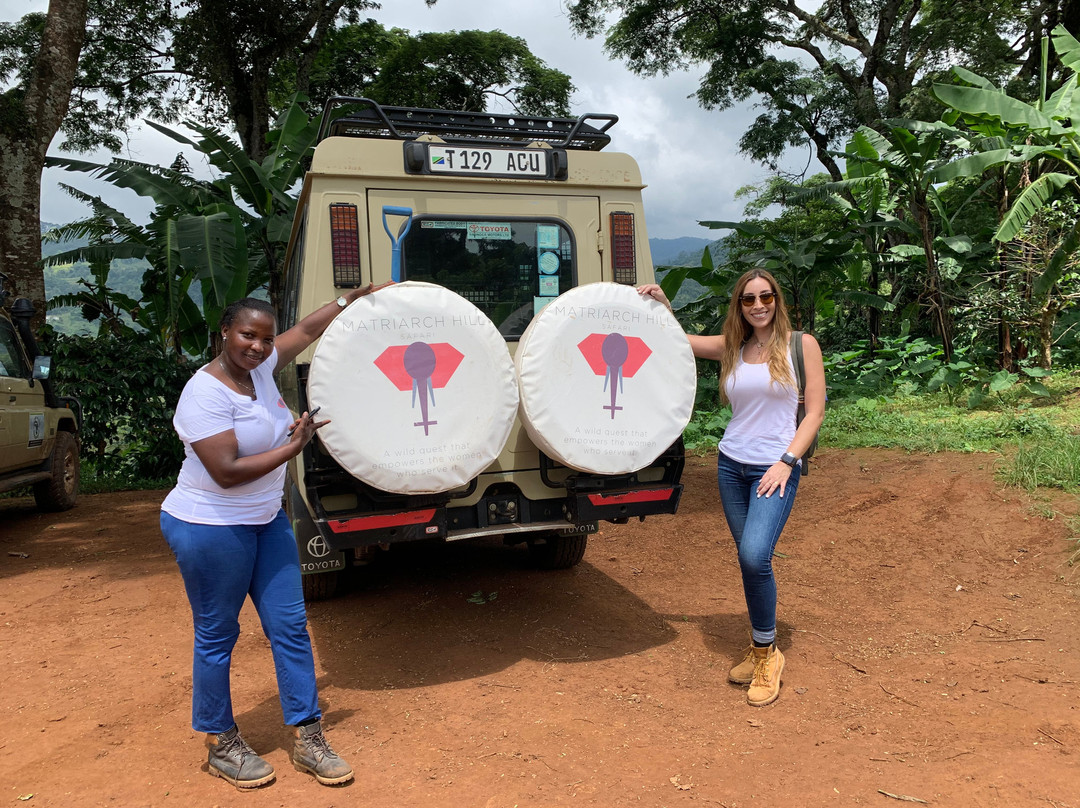 Matriarch Hill Safari-莫西必去景点