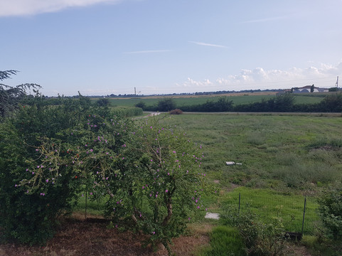 Al Vecchio Rustico主图