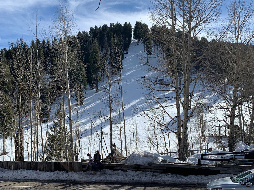 Mount Lemmon Ski Valley景点图片