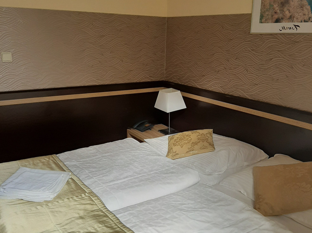 Hotel Cierny Orol主图