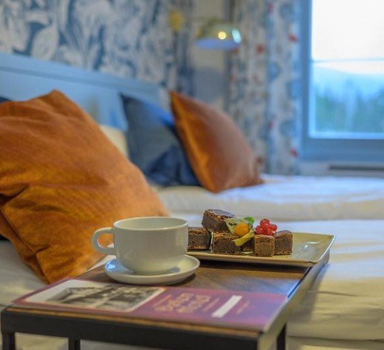 Dølen Hotel-官方