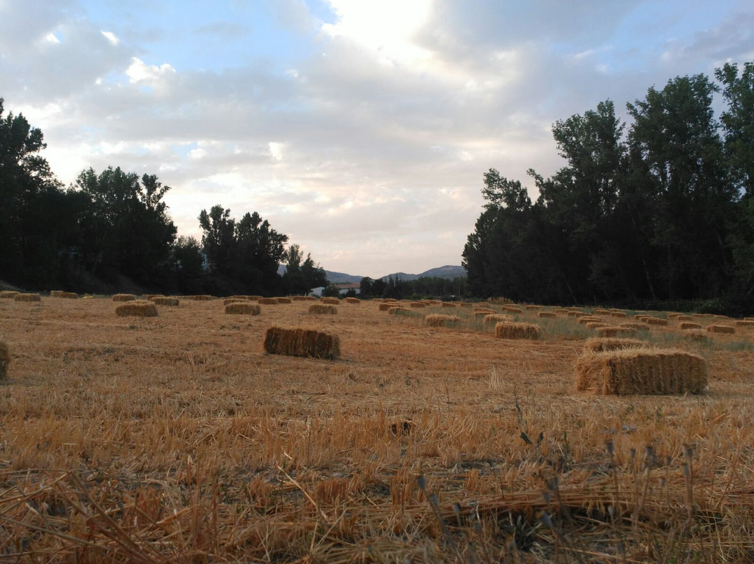 Casa Rural Molino de Abajo主图