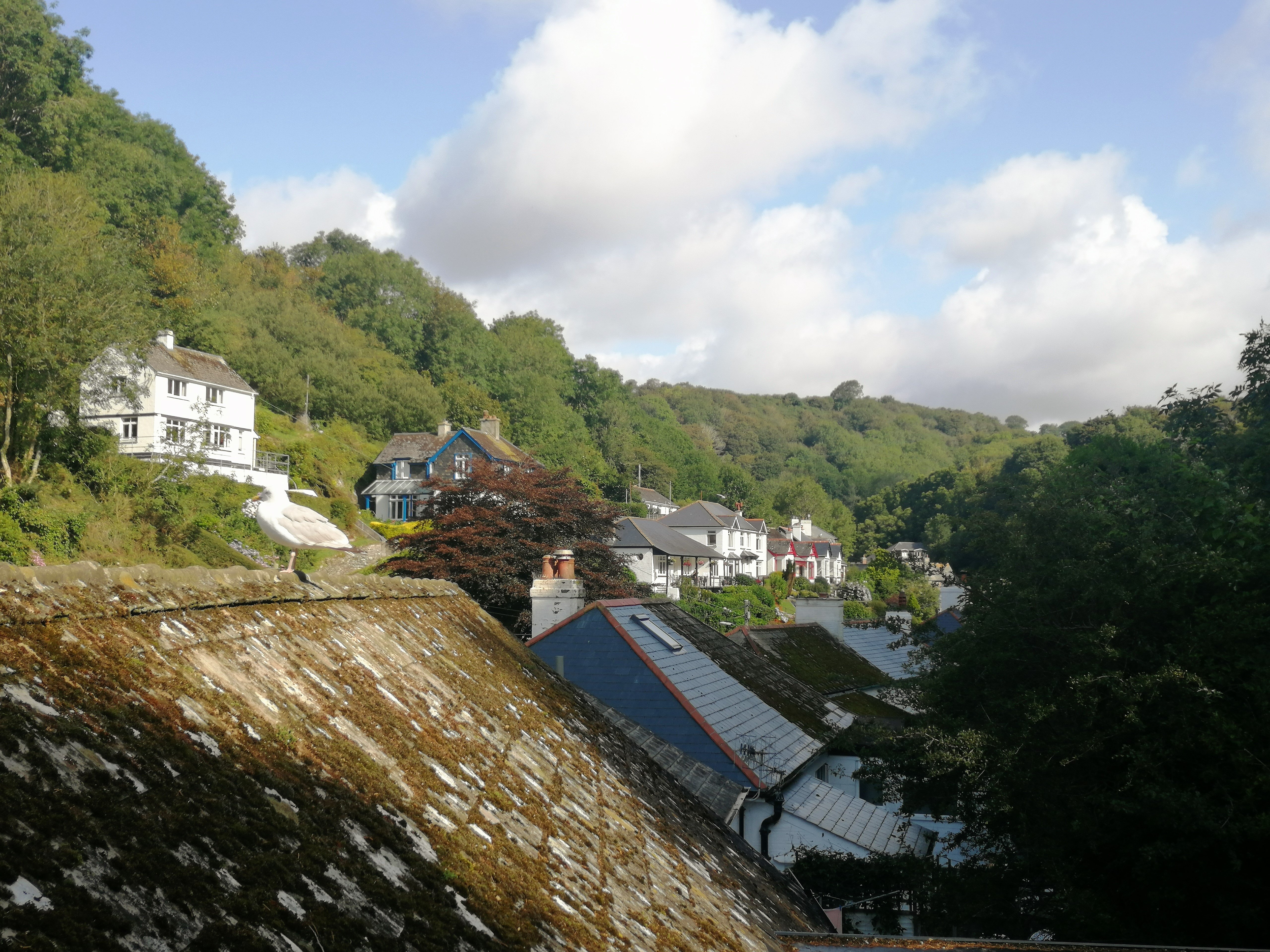 Penryn House Hotel-酒店景观