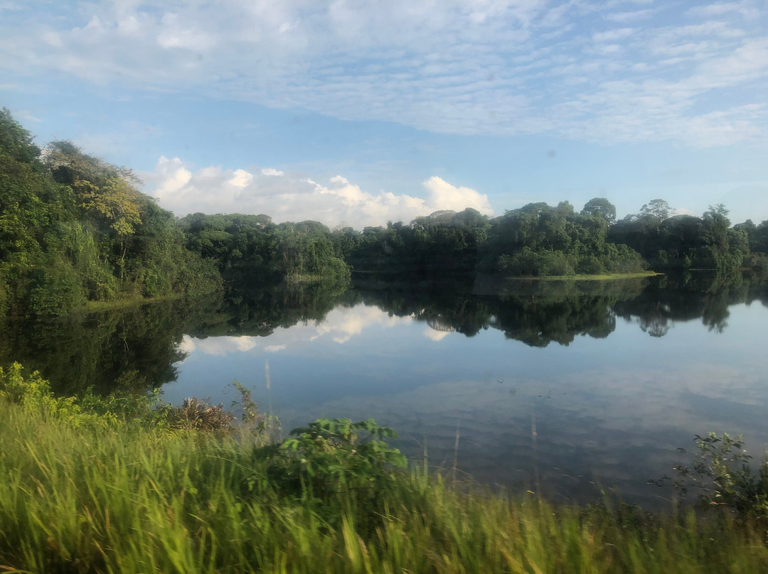 Panama Canal Railway Company-巴拿马城必去景点