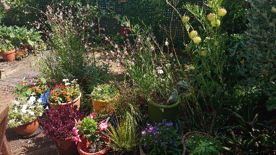 Parituhu Bed and Breakfast主图