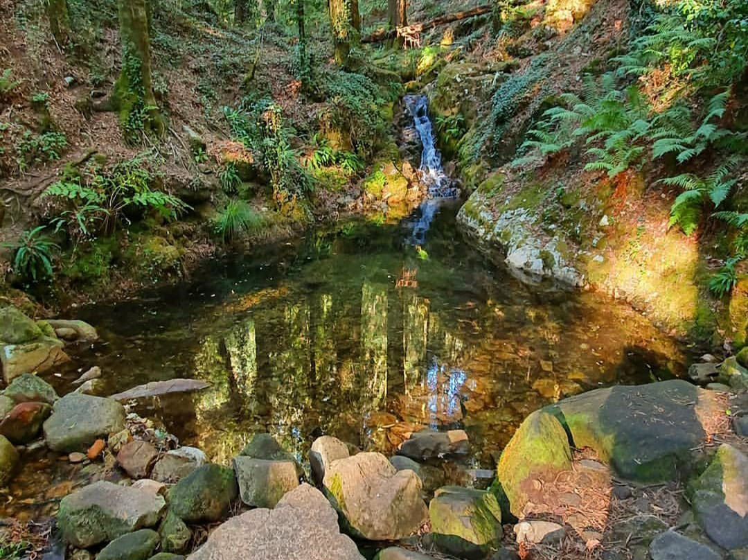 Ruta de Senderismo Rio Da Fraga景点图片