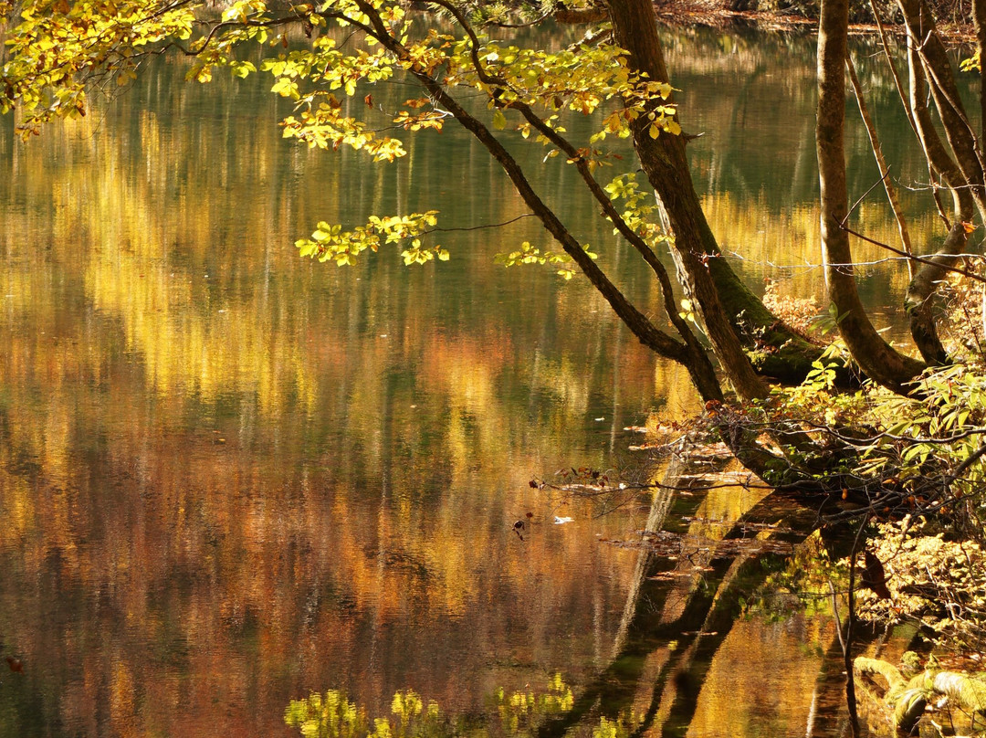 Ryugakubonomizu-津南町必去景点