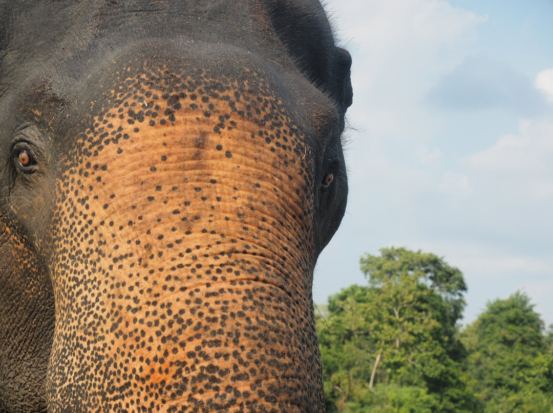 Why Not Sri Lanka-科伦坡必去景点
